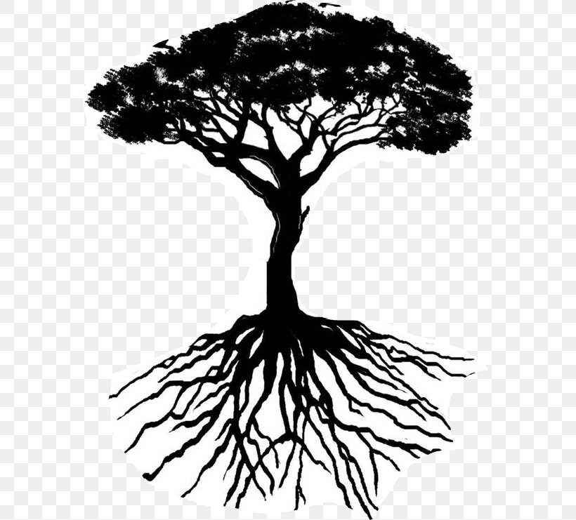 Tree Trunk Drawing, PNG, 584x741px, Tshirt, American Revolution, Blackandwhite, Branch, Business Download Free