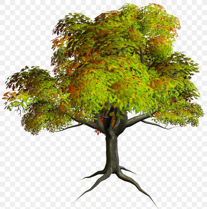 Tree Clip Art, PNG, 2000x2021px, 3d Rendering, Tree, Animation, Architectural Rendering, Branch Download Free