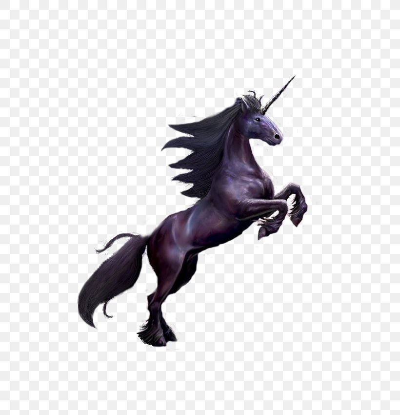 Unicorn Mustang Stallion Mane Halter, PNG, 600x850px, Unicorn, Animal Figure, Anne Stokes, Black, Fictional Character Download Free