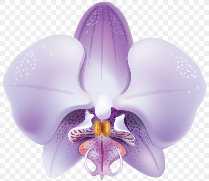 Orchids Flower Clip Art, PNG, 3000x2597px, Orchids, Color, Flower, Flowering Plant, Lilac Download Free