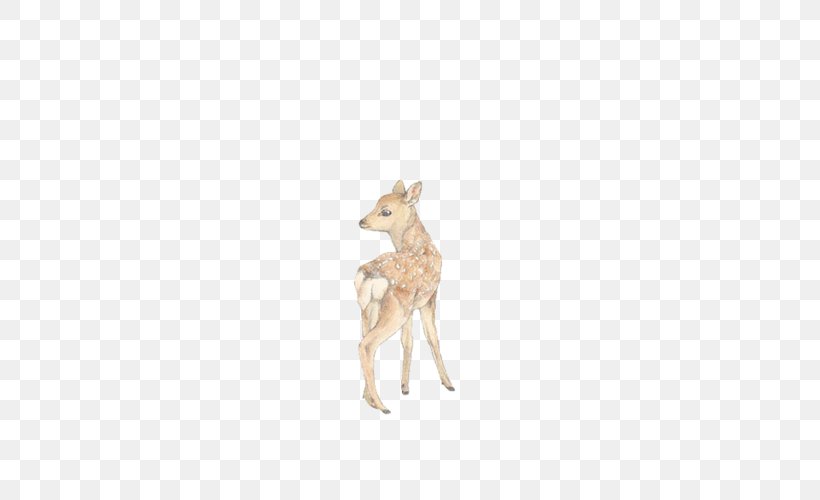 Reindeer Coyote Antler Antelope Jackal, PNG, 400x500px, Reindeer, Animal Figure, Antelope, Antler, Coyote Download Free