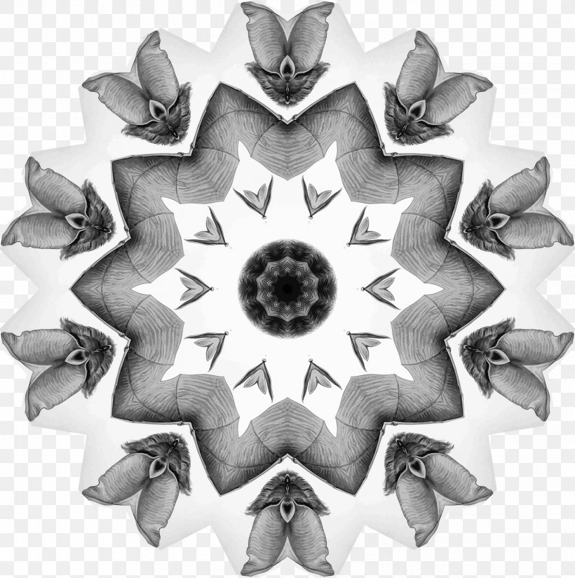 Symmetry Circle White Pattern, PNG, 2386x2400px, Symmetry, Black And White, Monochrome, Monochrome Photography, White Download Free