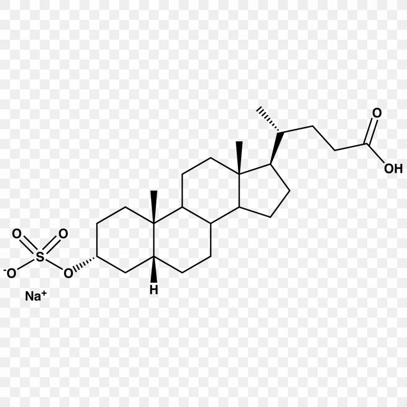 Bile Acid Anabolic Steroid Cholic Acid Ursodiol, PNG, 1200x1200px, Bile Acid, Acid, Anabolic Steroid, Anabolism, Androgen Download Free