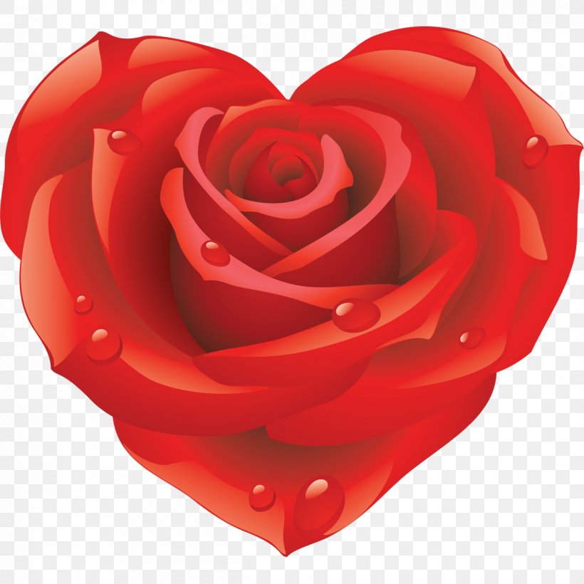 Rose Desktop Wallpaper Clip Art, PNG, 1200x1200px, Rose, Blog, Cut Flowers, Floribunda, Flower Download Free