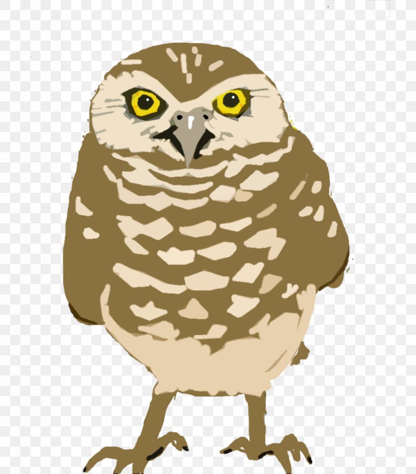 Burrowing Owl Bird Cornell Lab Of Ornithology Great Horned Owl, PNG, 841x958px, Owl, Art, Athene, Beak, Bird Download Free