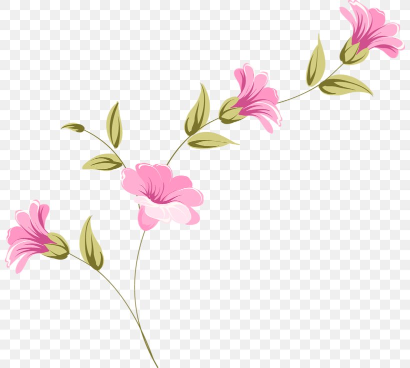 Floral Design Ты — моя нежность Cut Flowers Peony, PNG, 800x737px, Floral Design, Blossom, Branch, Cut Flowers, Flora Download Free