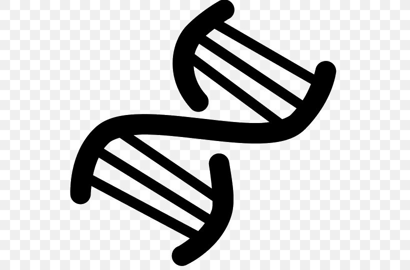 Nucleic Acid Double Helix DNA, PNG, 540x540px, Nucleic Acid Double Helix, Black And White, Dna, Gene, Genetics Download Free