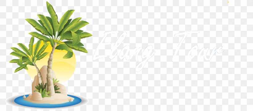 Tropical Islands Resort Beach Coconut Sea, PNG, 1242x546px, Tropical Islands Resort, Arecaceae, Beach, Branch, Coconut Download Free