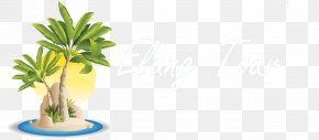 Beach - Tropical Islands Resort Beach Coconut Sea PNG