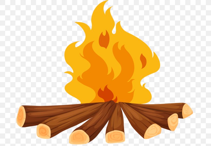 Wood Fuel Firewood, PNG, 700x569px, Wood, Campfire, Combustion, Fire, Firewood Download Free