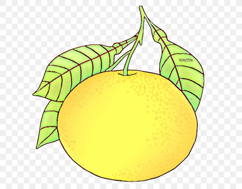 Citrus Leaf Fruit Lemon Yellow, PNG, 648x639px, Citrus, Fruit, Grapefruit, Leaf, Lemon Download Free