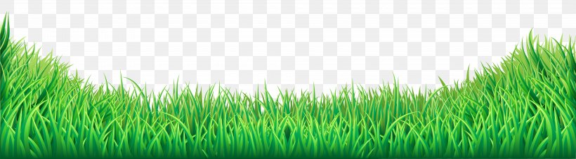 Lawn Clip Art, PNG, 8000x2218px, Lawn, Commodity, Computer Graphics, Grass, Grass Family Download Free