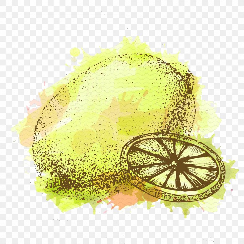 Lemon Auglis Illustration, PNG, 1000x1000px, Lemon, Art, Auglis, Drawing, Food Download Free