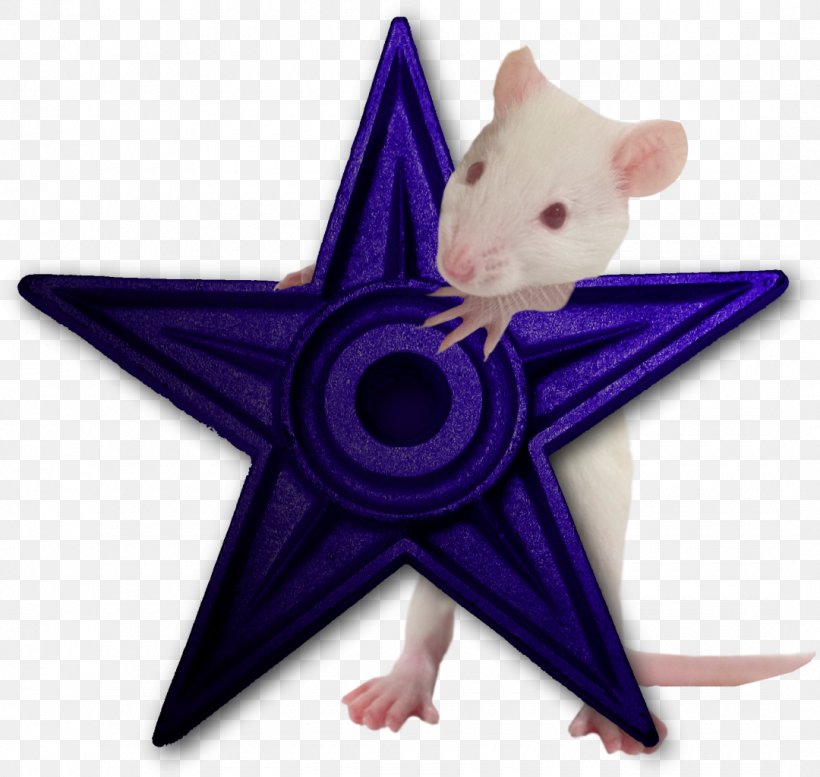 Star Polygon, PNG, 1080x1024px, Star, Color, Drawing, Mammal, Mouse Download Free