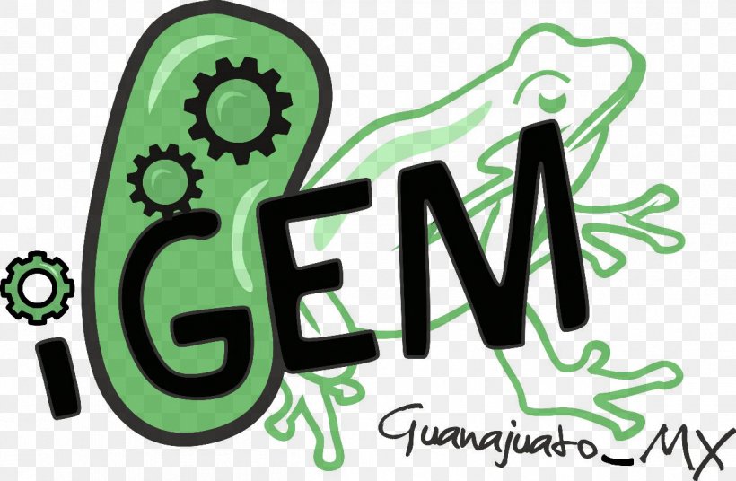 Guanajuato International Genetically Engineered Machine Logo Genetic Engineering Bacterial Disease, PNG, 1259x823px, Guanajuato, Bacteria, Bacterial Disease, Biosensor, Brand Download Free