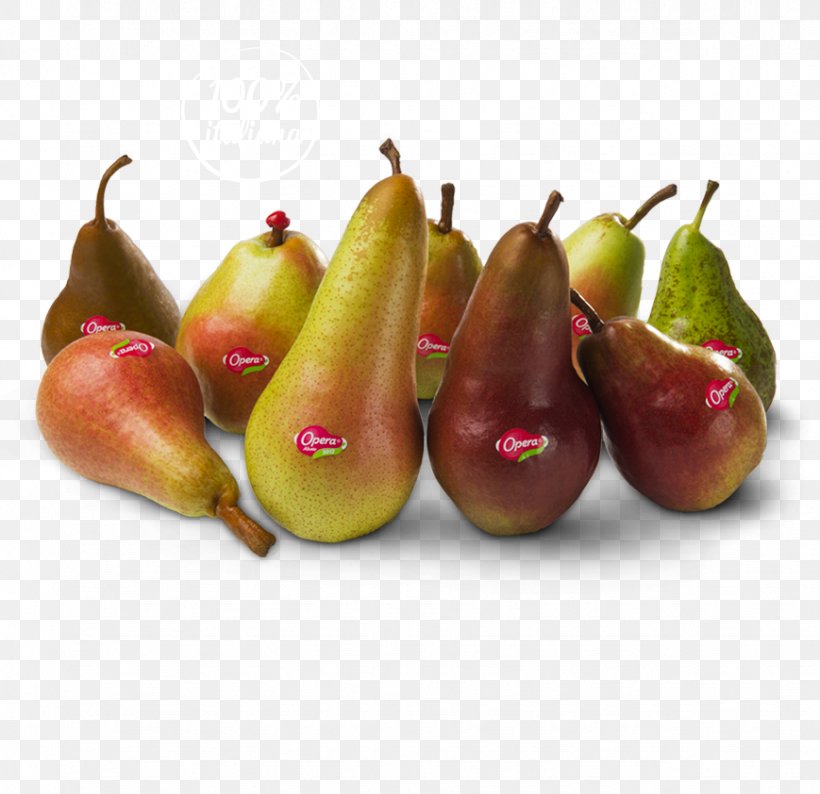 Pear Abate Fetel Accessory Fruit Auglis, PNG, 869x842px, Pear, Abate Fetel, Accessory Fruit, Auglis, Com Download Free