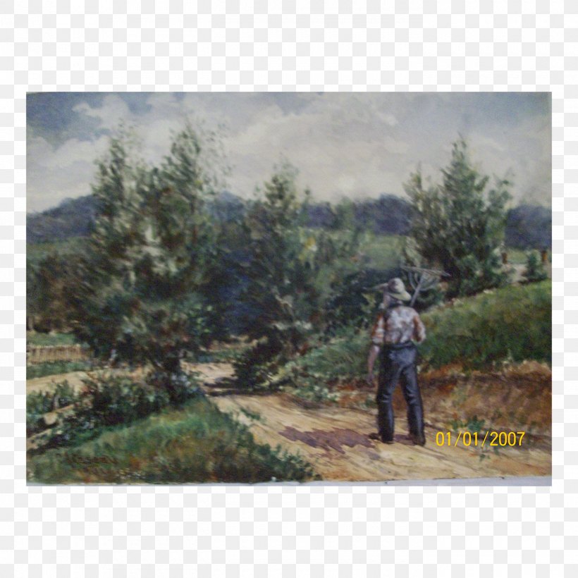 Plant Community Forest Ecosystem Painting, PNG, 1400x1400px, Plant Community, Community, Ecosystem, Family, Forest Download Free