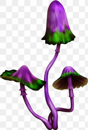 Purple Mushroom, PNG, 1525x2999px, Watercolor Mushroom, Mushroom ...