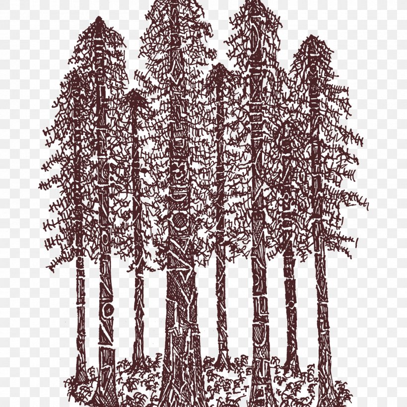 Redwood National And State Parks T-shirt Coast Redwood Spruce Cathedral Ring, PNG, 1800x1800px, Redwood National And State Parks, Black And White, California, Coast Redwood, Conifer Download Free