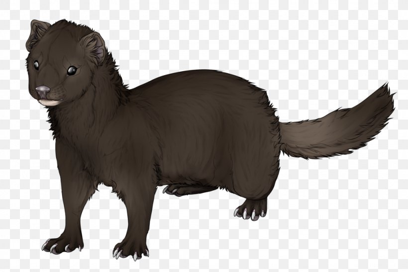 Ferret Mink Weasels Clip Art Drawing, PNG, 1024x683px, Ferret, Animal Figure, Carnivoran, Cartoon, Drawing Download Free