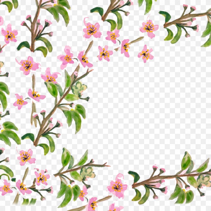 Flower Adobe Illustrator, PNG, 2362x2363px, Flower, Blossom, Branch, Cherry Blossom, Cut Flowers Download Free