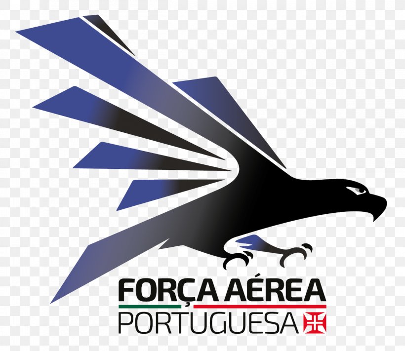 Municipality Of Évora Logo Portuguese Air Force Font, PNG, 1200x1041px, Logo, Air Force, Beak, Birthday, Brand Download Free