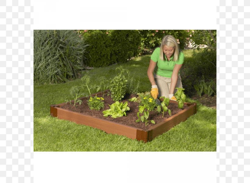 Raised-bed Gardening Landscaping, PNG, 800x600px, Raisedbed Gardening, Bed, Bed Frame, Fence, Flower Box Download Free