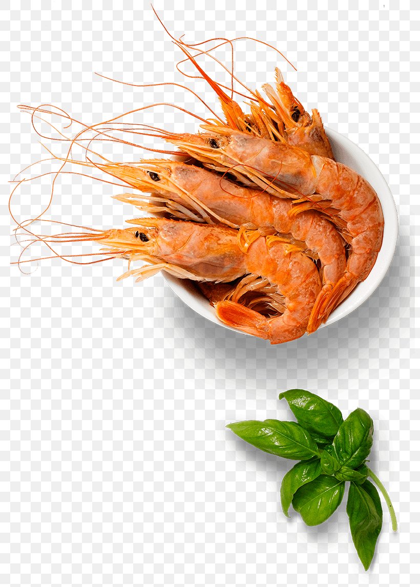 Caridea Prawns Recipe Dish Garnish, PNG, 800x1146px, Caridea, Animal Source Foods, Caridean Shrimp, Decapoda, Dendrobranchiata Download Free