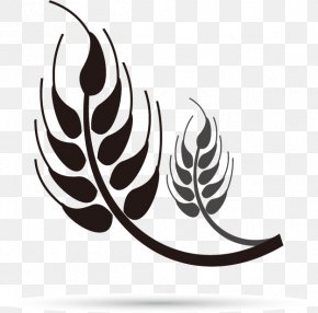 Black Design Pattern Vector Material Wheat - Common Wheat Ear Vecteur Buckwheat PNG