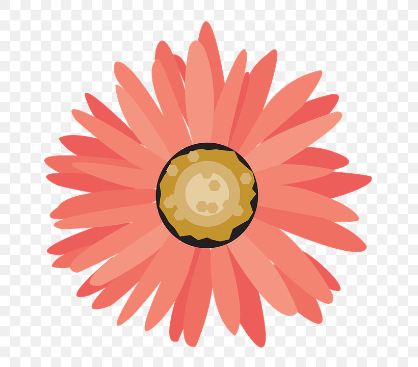 Daisy, PNG, 723x720px, Pink, Daisy, Daisy Family, Flower, Gerbera Download Free