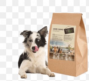 Good Choice - Dog Breed Border Collie Puppy Dog Food Companion Dog PNG