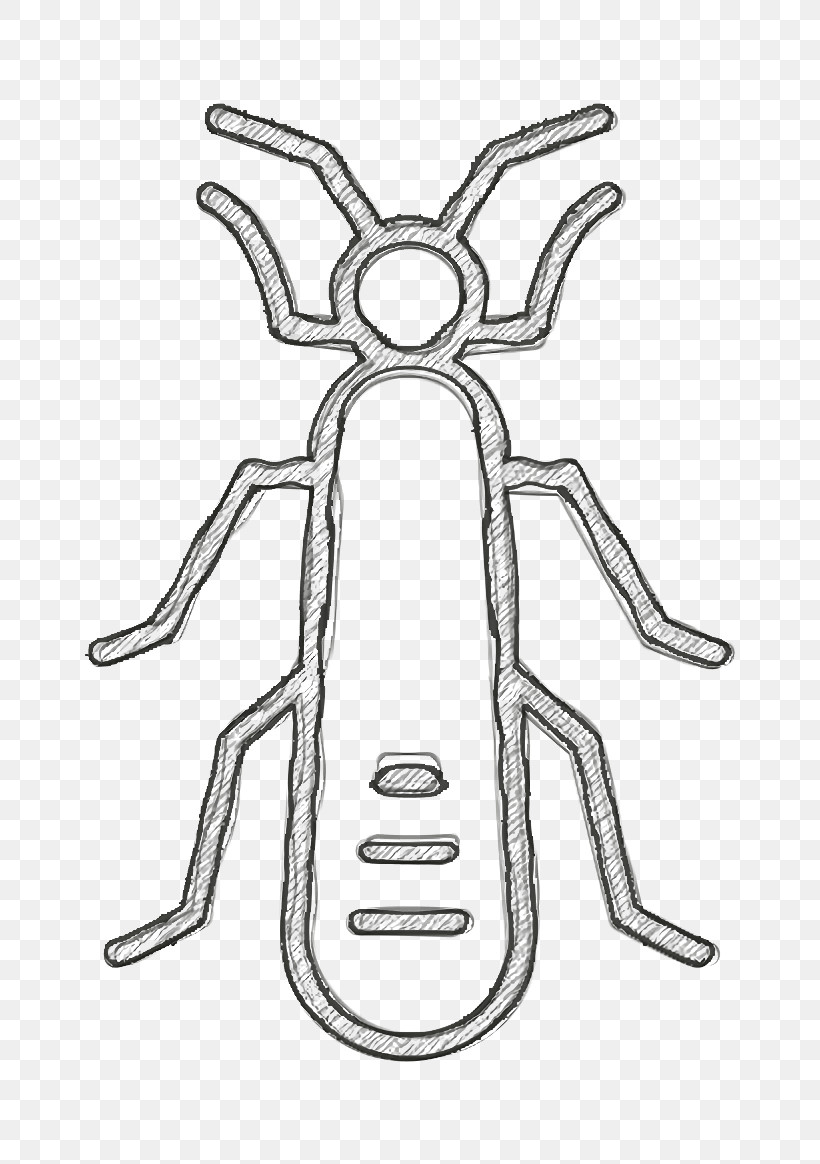 Insects Icon Stonefly Icon, PNG, 790x1164px, Insects Icon, Cartoon, Coloring Book, Drawing, Head Download Free
