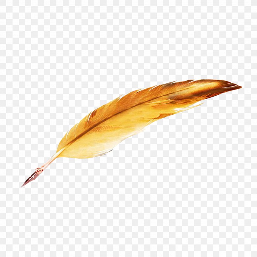 Pen Paper Quill, PNG, 2953x2953px, Pen, Feather, Ink, Leaf, Orange Download Free