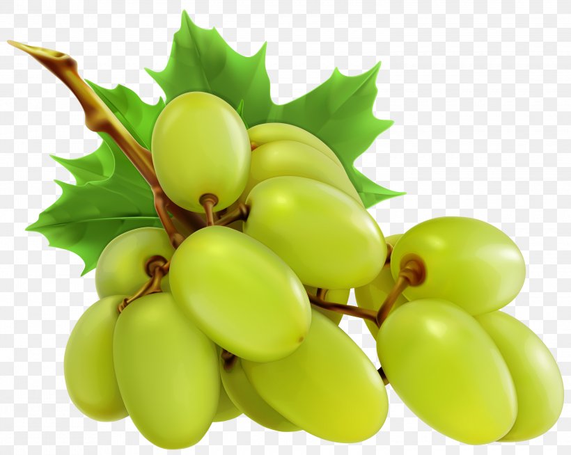 Wine Grape Raisin Food Fruit, PNG, 3000x2393px, Wine, Berry, Food, Fruit, Fruit Preserves Download Free
