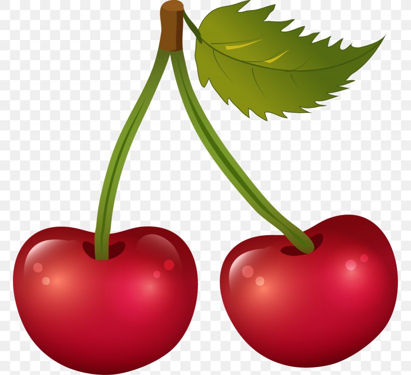 Cherry Food Cerasus Clip Art, PNG, 768x748px, Cherry, Apple, Cerasus, Drawing, Food Download Free