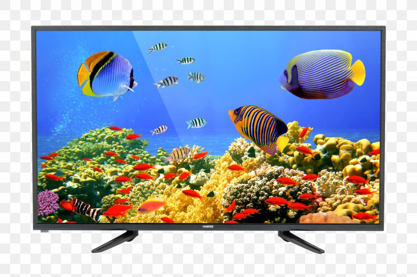 Desktop Wallpaper Retina Display Coral Reef MacBook Pro, PNG, 1600x1066px, Retina Display, Advertising, Aquarium, Aquarium Decor, Color Download Free
