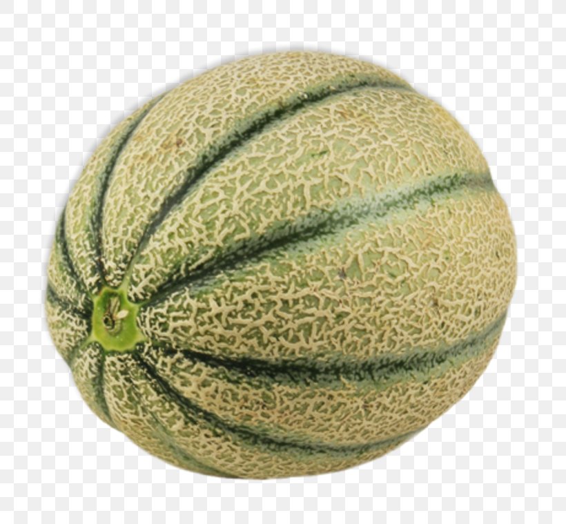 Honeydew Cantaloupe Melon Pumpkin Pregnancy, PNG, 800x759px, Honeydew, Cantaloupe, Circuit Diagram, Cucumber Gourd And Melon Family, Cucumis Download Free