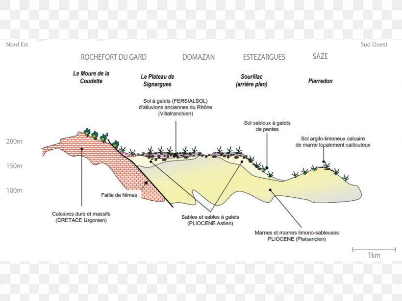 Signargues Châteauneuf-du-Pape AOC Côtes Du Rhône AOC Årlig Omkostning I Procent, PNG, 1024x768px, Ecoregion, Area, City, Diagram, Land Lot Download Free