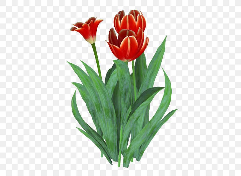 Tulip Floristry Cut Flowers TinyPic, PNG, 600x600px, Tulip, Cut Flowers, Floristry, Flower, Flowering Plant Download Free
