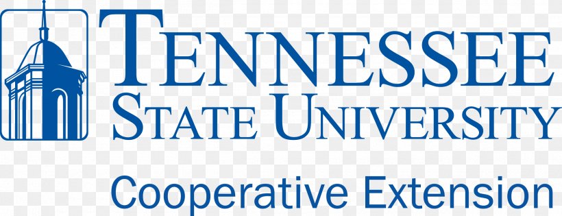 East Tennessee State University Historically Black Colleges And Universities Academic Degree, PNG, 2500x962px, Tennessee State University, Academic Degree, Area, Banner, Blue Download Free