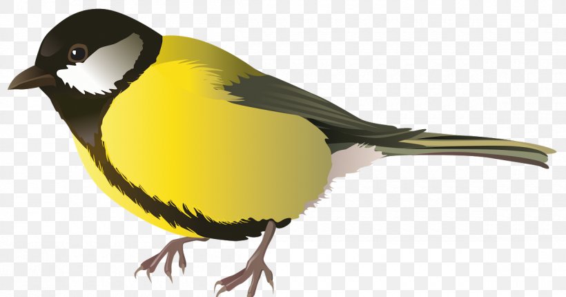 Robin Bird, PNG, 1200x630px, Bird, American Robin, Animal, Beak, Bird Flight Download Free