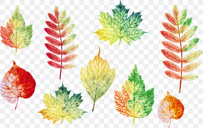 Autumn Leaves Leaf Euclidean Vector, PNG, 5440x3441px, Leaf, Autumn, Autumn Leaves, Christmas Ornament, Graphic Arts Download Free