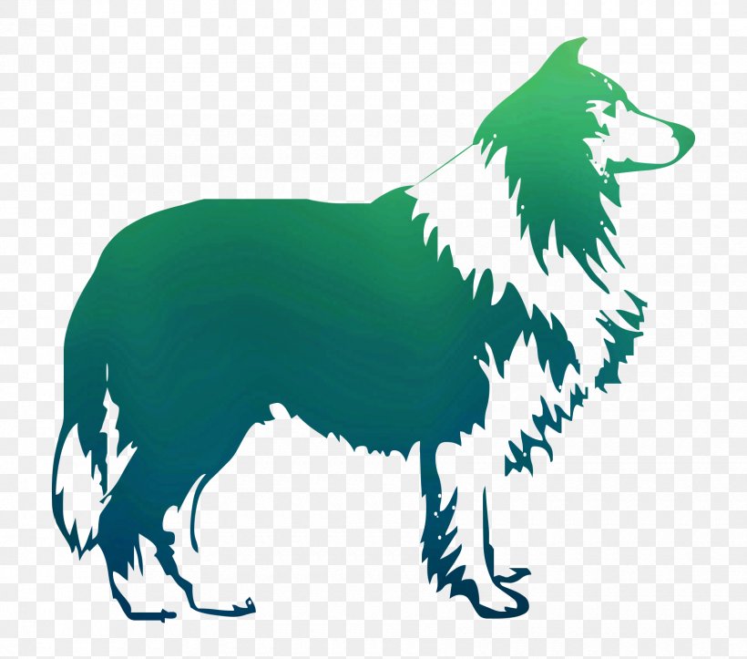 Border Collie Rough Collie Sheltie Poodle, PNG, 1700x1500px, Border Collie, Canidae, Carnivore, Collie, Dog Download Free