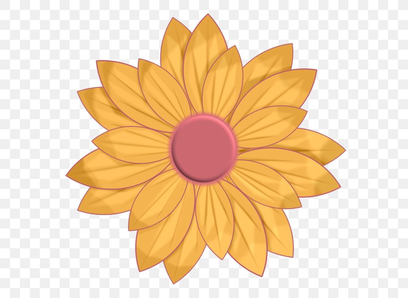 Clip Art Image Petal Flower Illustration, PNG, 600x600px, Petal, Art, Cut Flowers, Daisy Family, Drawing Download Free