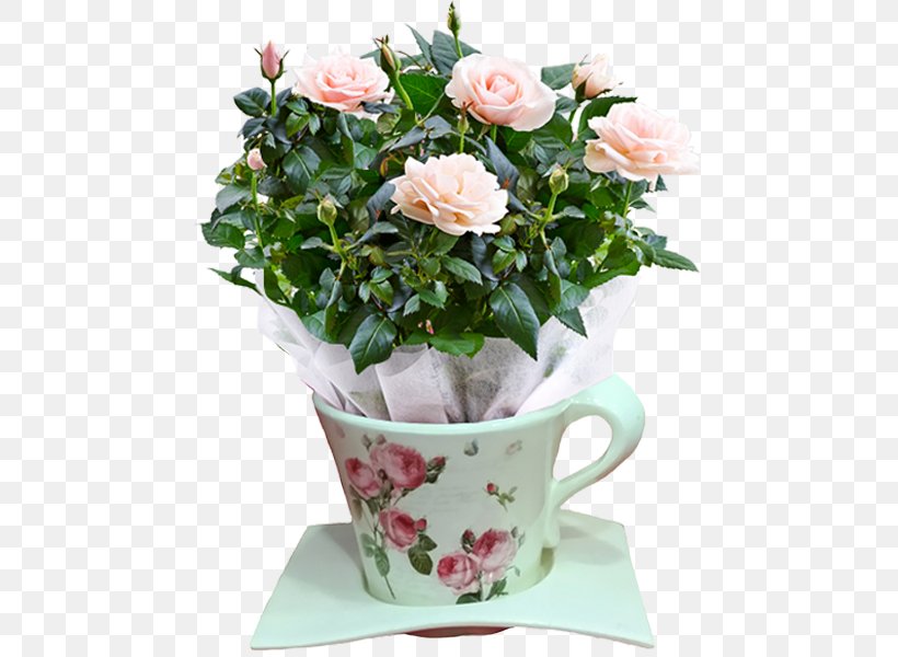 Garden Roses Cabbage Rose Cut Flowers Flowerpot, PNG, 600x600px, Garden Roses, Artificial Flower, Cabbage Rose, Ceramic, Cottonwood Download Free