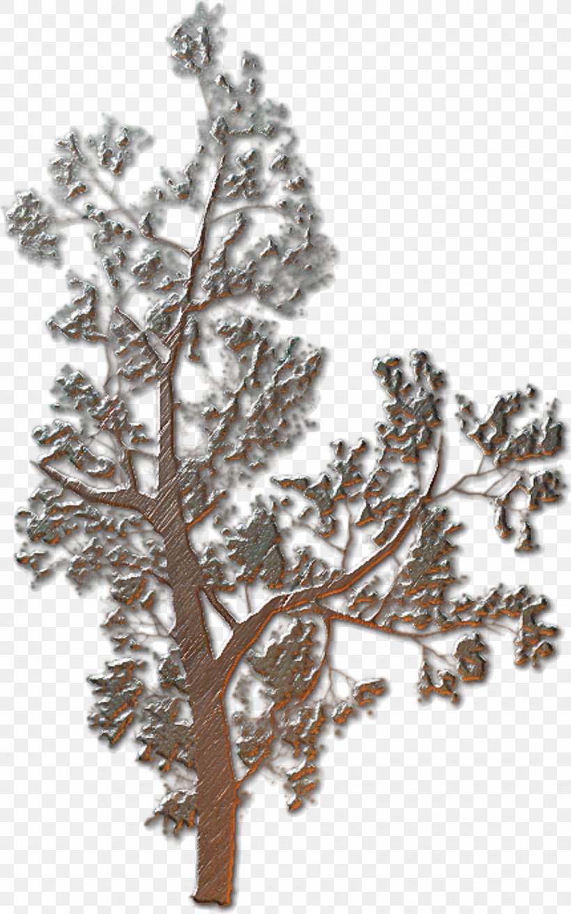 Relief Metal, PNG, 1545x2473px, Relief, Branch, Conifer, Metal, Paper Embossing Download Free