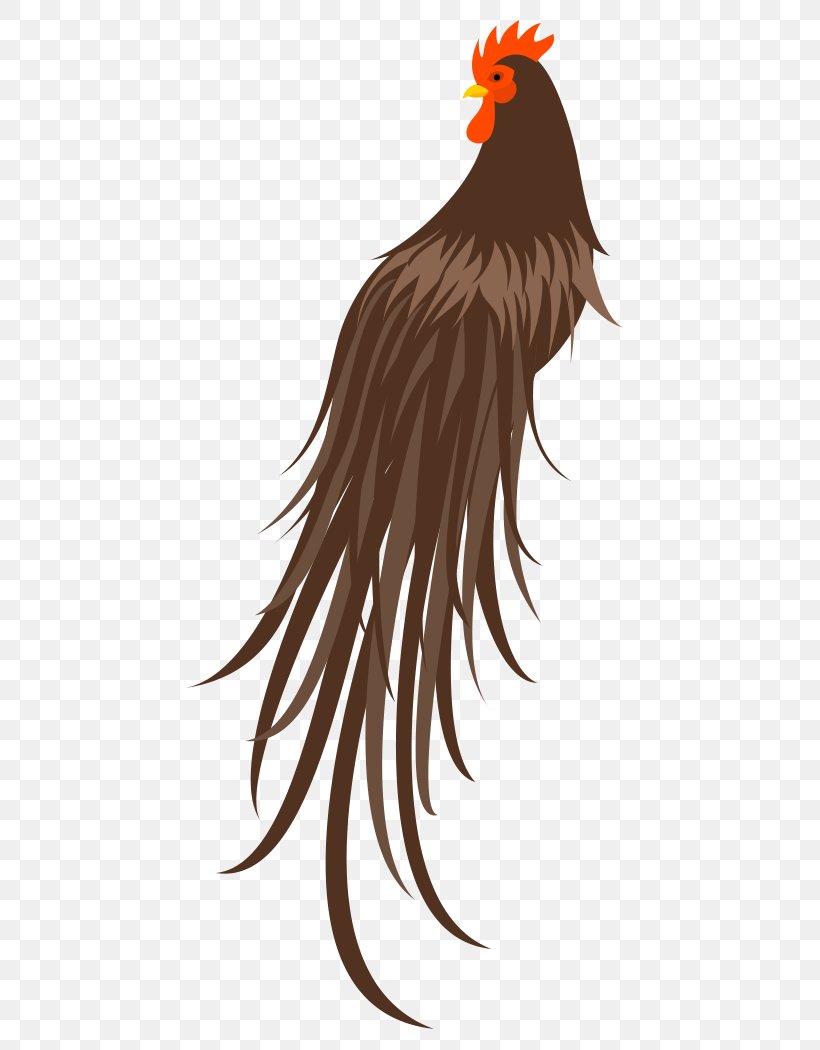 Rooster Chicken Bird Beak, PNG, 510x1050px, Rooster, Beak, Bird, Bird Of Prey, Character Download Free
