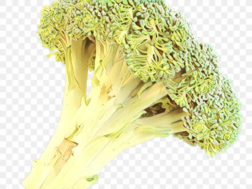 Broccoli Vegetarian Cuisine Fennel Herb Food, PNG, 1024x768px, Cartoon, Broccoli, Commodity, Fennel, Flower Download Free