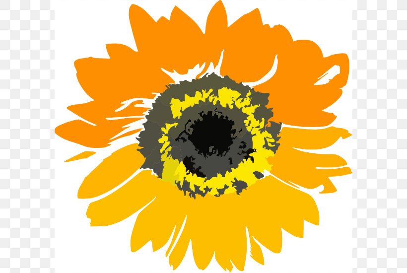Common Sunflower Sunflower Educare Center Clip Art, PNG, 600x550px, Common Sunflower, Black And White, Color, Daisy Family, Drawing Download Free