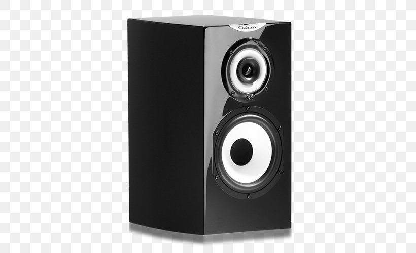 Computer Speakers Subwoofer Studio Monitor CABASSE Minorca MC40 6.5